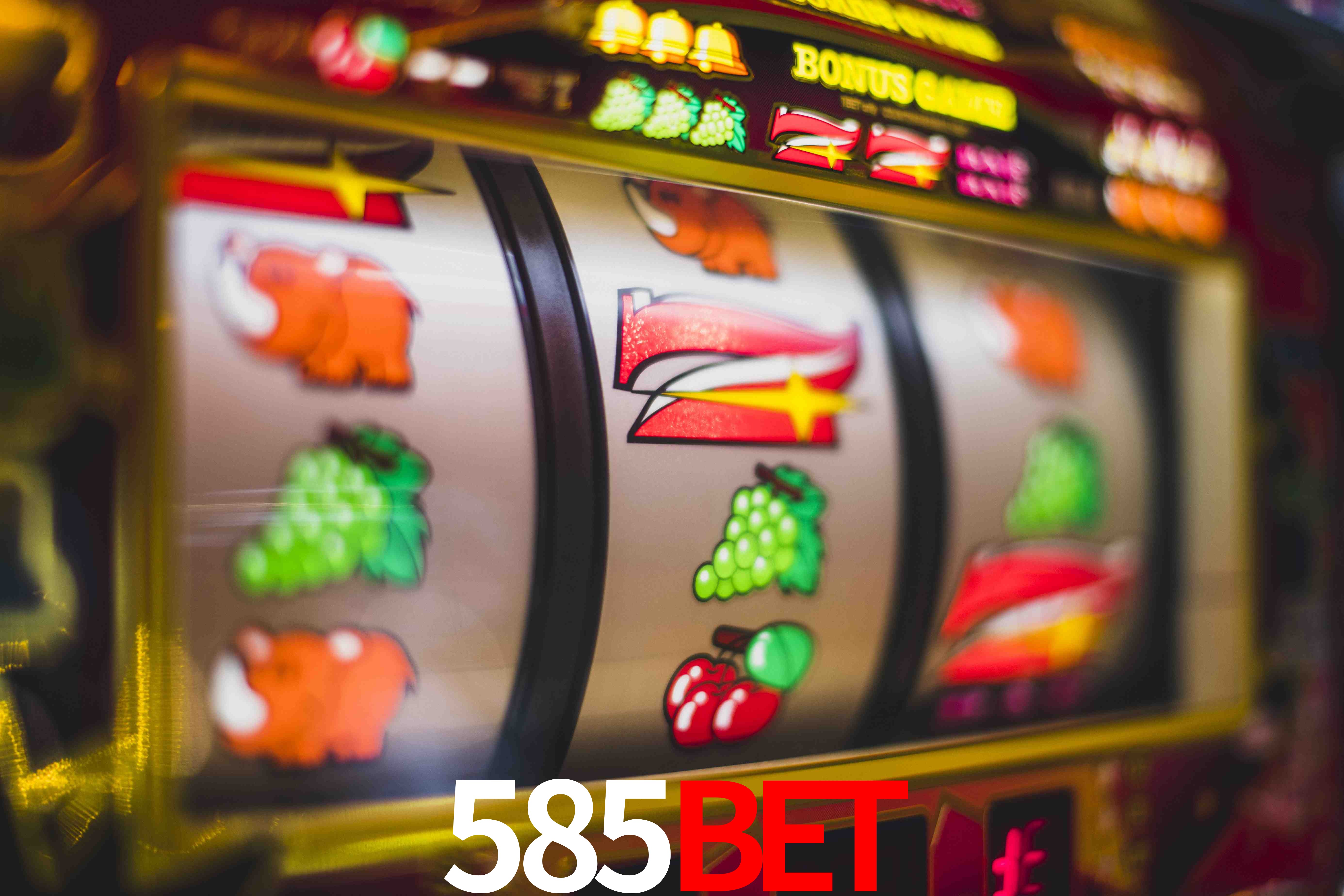 Secure Login 585bet